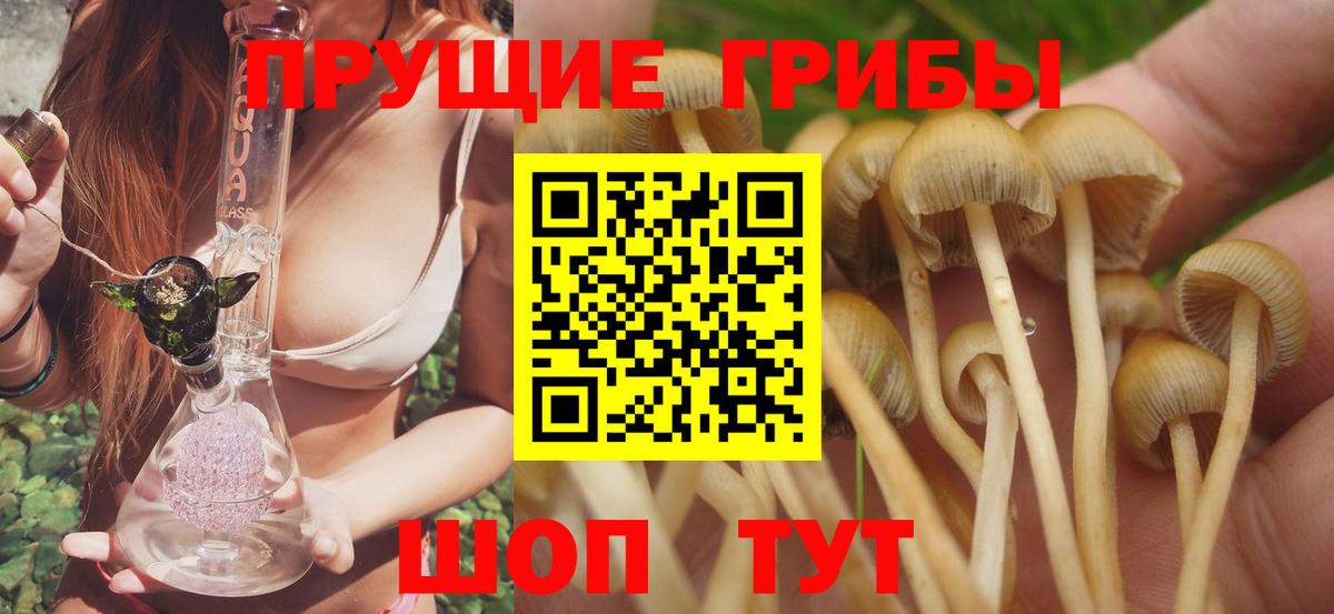 Псилоцибиновые грибы GOLDEN TEACHER  Вход с VPN  Лангепас 